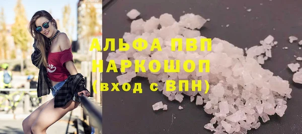 индика Козловка