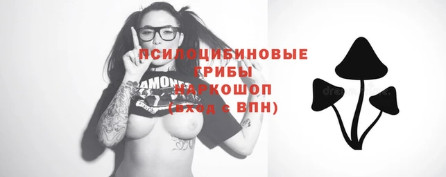 ECSTASY Карпинск