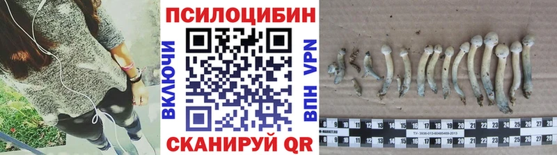 ОМГ ОМГ ссылки  Берёзовский  Псилоцибиновые грибы Magic Shrooms 
