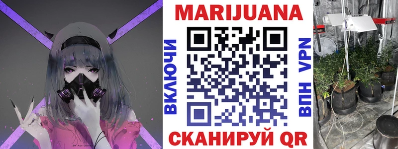 Каннабис сатива Берёзовский